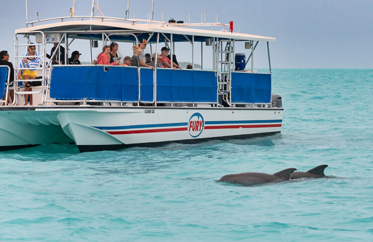 Fury dolphin watching trip, Key West, Florida