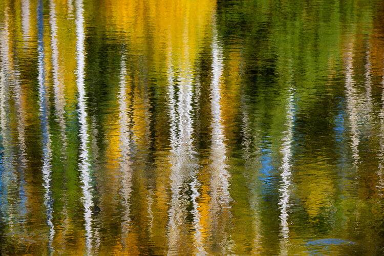 Fall colours on a lake create abstract photography.