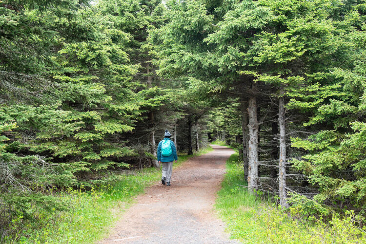 Walking trail, Parc national du Bic, Quebec.