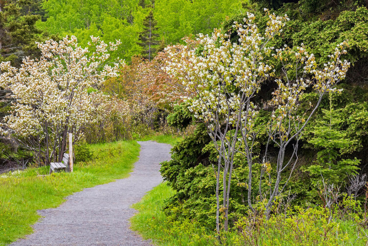 Walking trail in Parc National du Bic, Quebec