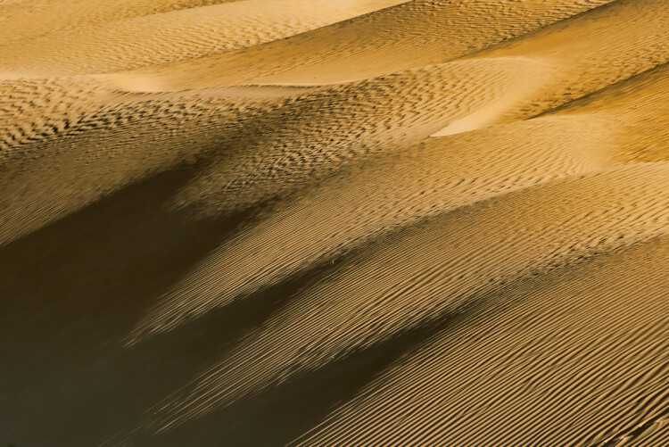 Sand dunes in the Great Sand Hills Saskatchewan provide abstract photography possibilities.