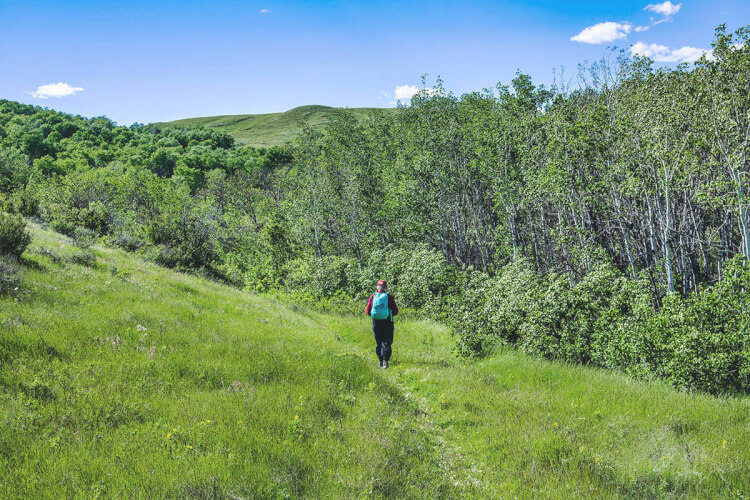 Hiking, Pine Cree Regional Park, Saskatchewan