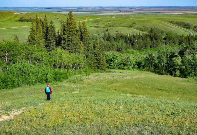 Hiking, Pine Cree Regional Park, Saskatchewan