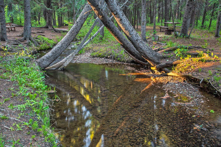 Creek and campground, Pine Cree Regional Park.