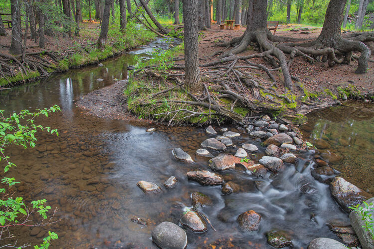 Swift Current Creek, Pine Cree Regional Park.