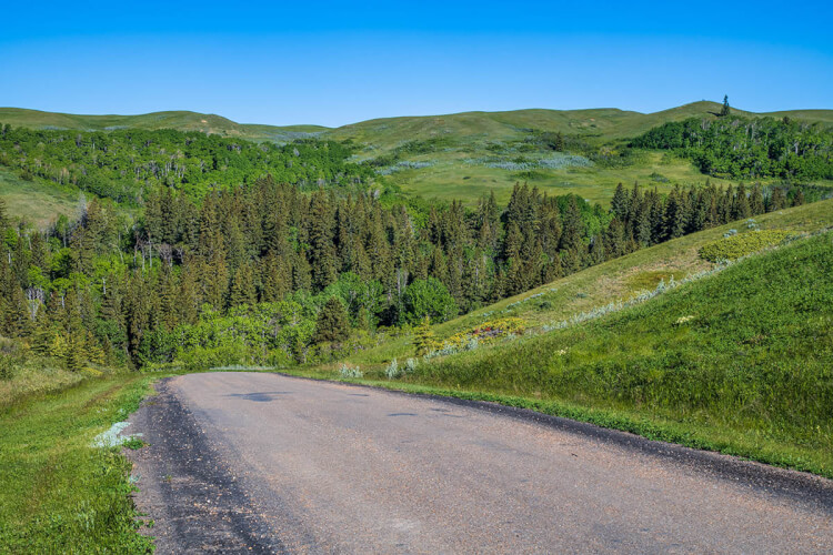 Road into Pine Cree Regional Park, Sasksatchewan