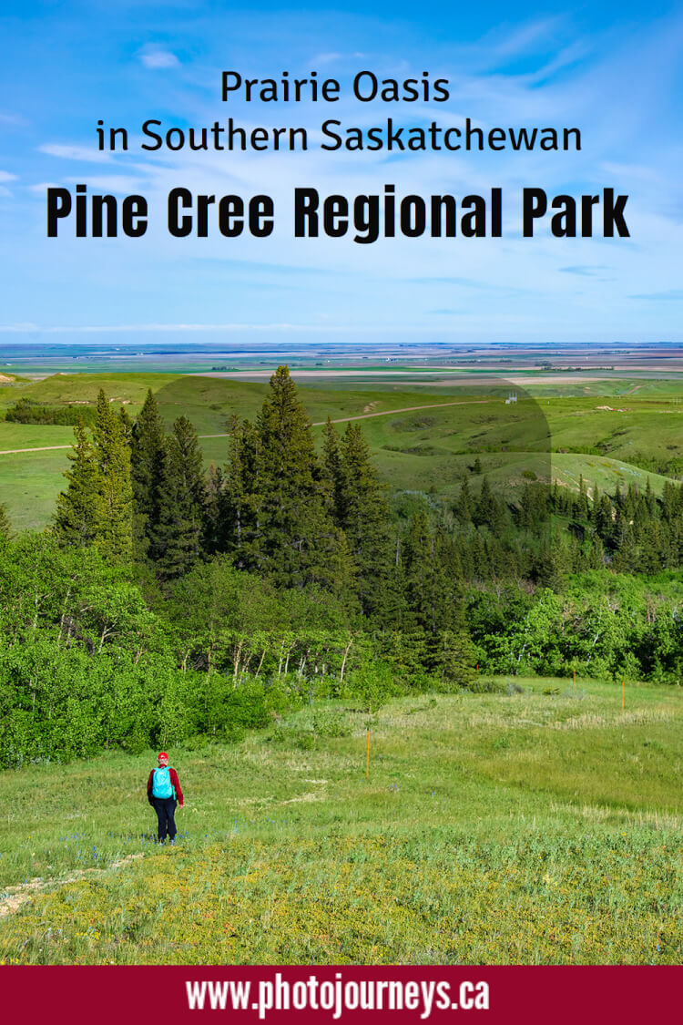 Pin for Pine Cree Regional Park on Photojourneys.ca