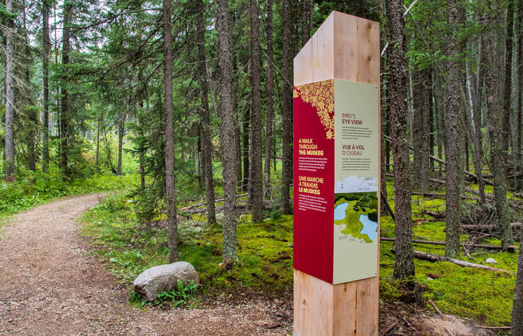 Boundary Bog Trail, Prince Albert National Park, Saskatchewan.