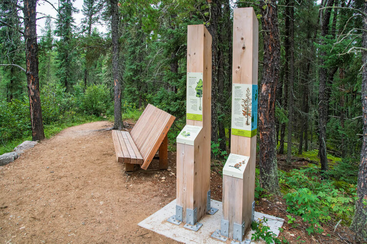 Boundary Bog Trail, Prince Albert National Park, Saskatchewan.