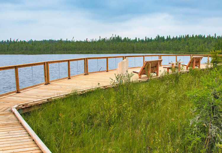 Boundary Bog Trail, Prince Albert National Park, Saskatchewan.