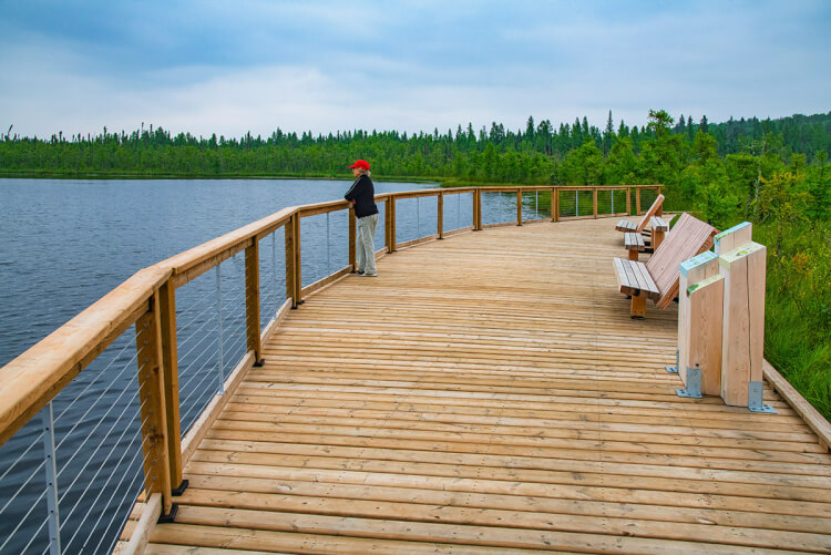 Boundary Bog Trail, Prince Albert National Park, Saskatchewan.