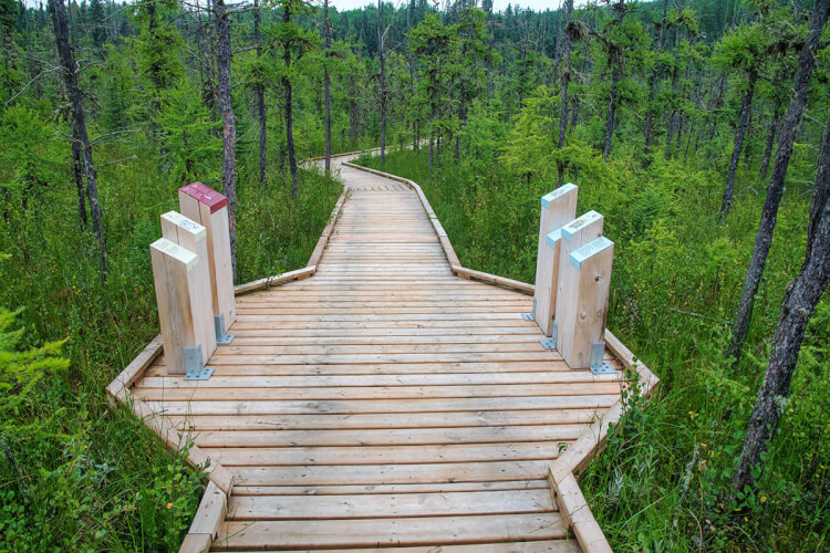 Boundary Bog Trail, Prince Albert National Park, Saskatchewan.