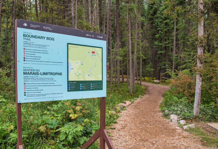 Boundary Bog Trail, Prince Albert National Park, Saskatchewan.