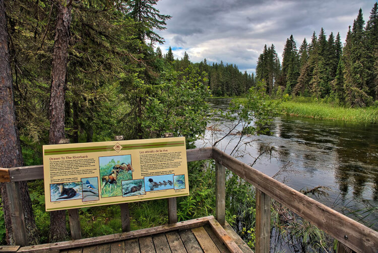 Prince Albert National Park trail, Saskatchewan