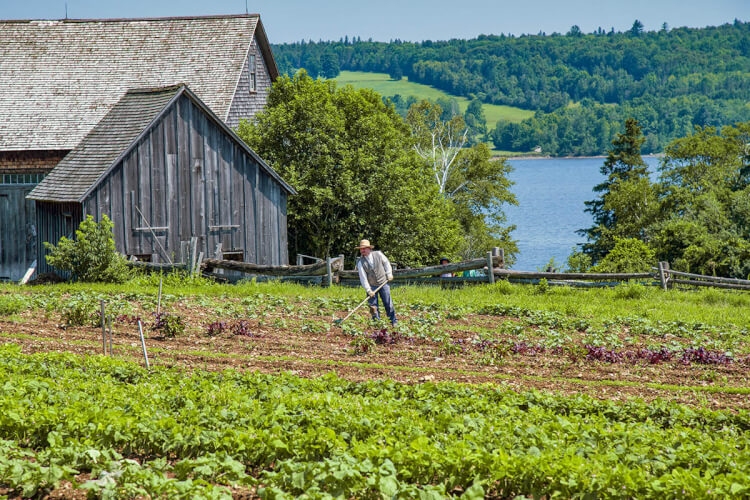 Joslin farm, King's Landing, New Brunswick.