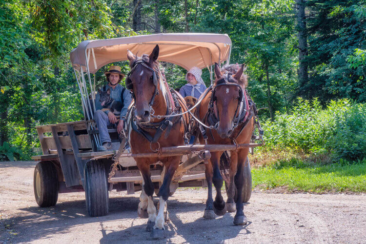 Horse-drawn wagon at King's Landing, New Brunswick