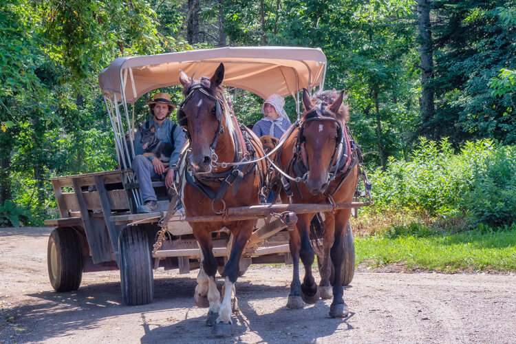 Horse-drawn wagon at King's Landing, New Brunswick