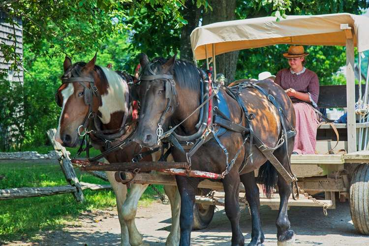 Horse-drawn wagon at King's Landing, New Brunswick.