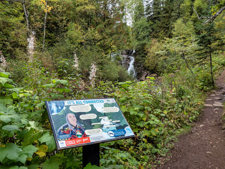 Panels along Fairy Creek Falls trail, Fernie, BC