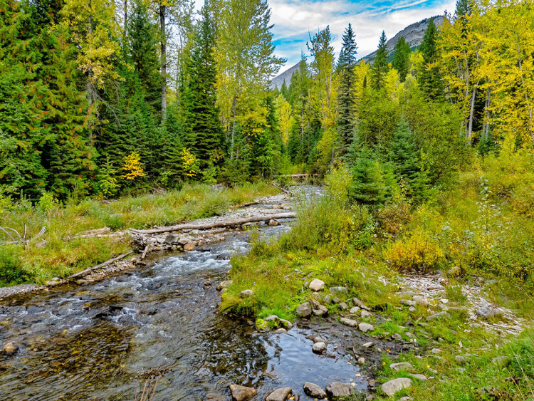 Fairy Creek, Fernie, BC