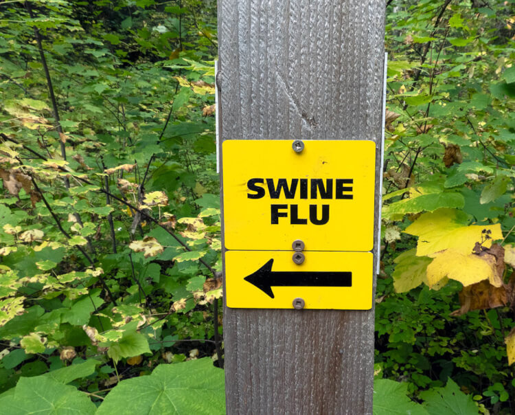 Trail marker, Fernie, BC