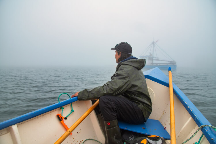 Foggy conditions, Grand Manan Island, New Brunswick.