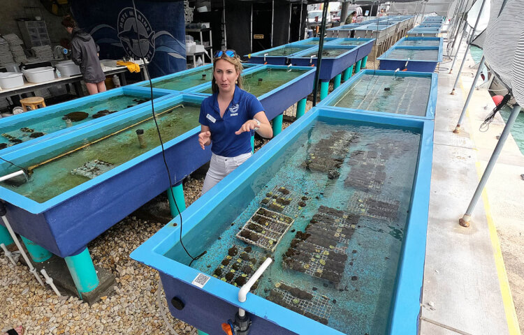 Mote research lab, Florida Keys.