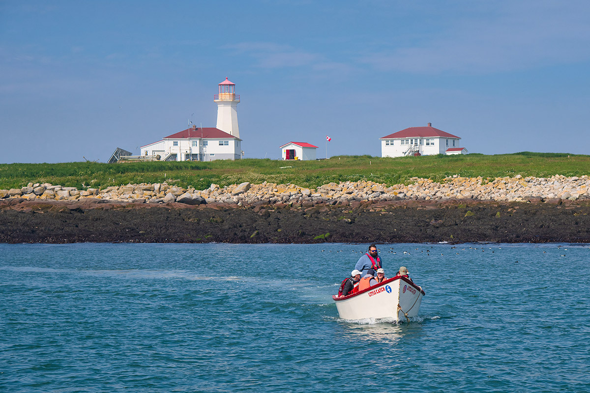 Machias Seal Island, New Brunswick