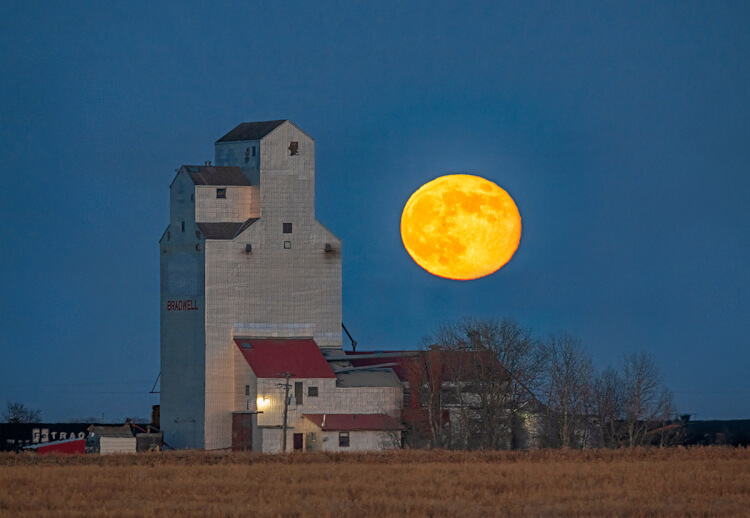 Moonrise over Bradwell elevator, Saskatchewan