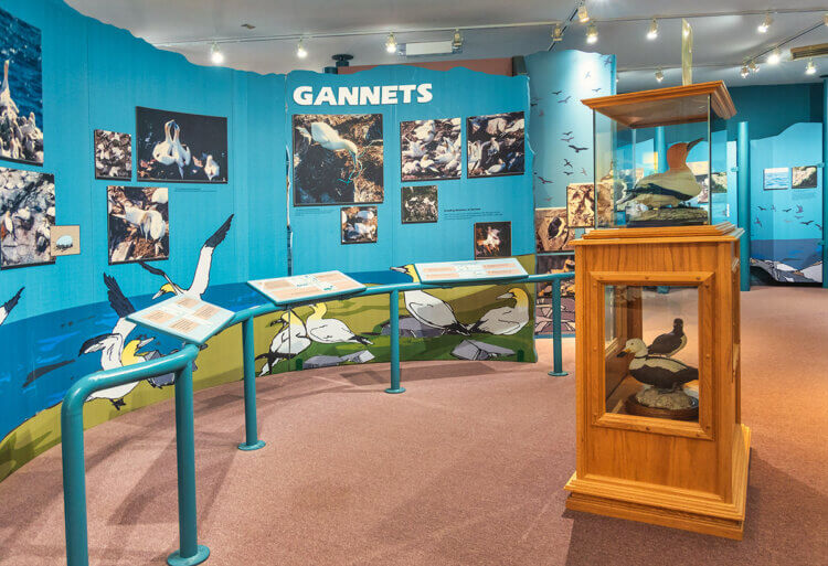 Interpretive Centre, Cape St. Mary's Ecological Reserve, Newfoundland.