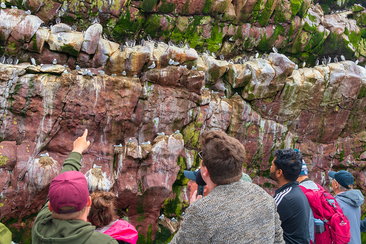 Watching the birds on shore from tour boat, Witless Bay Ecological Reserve, Newfoundland