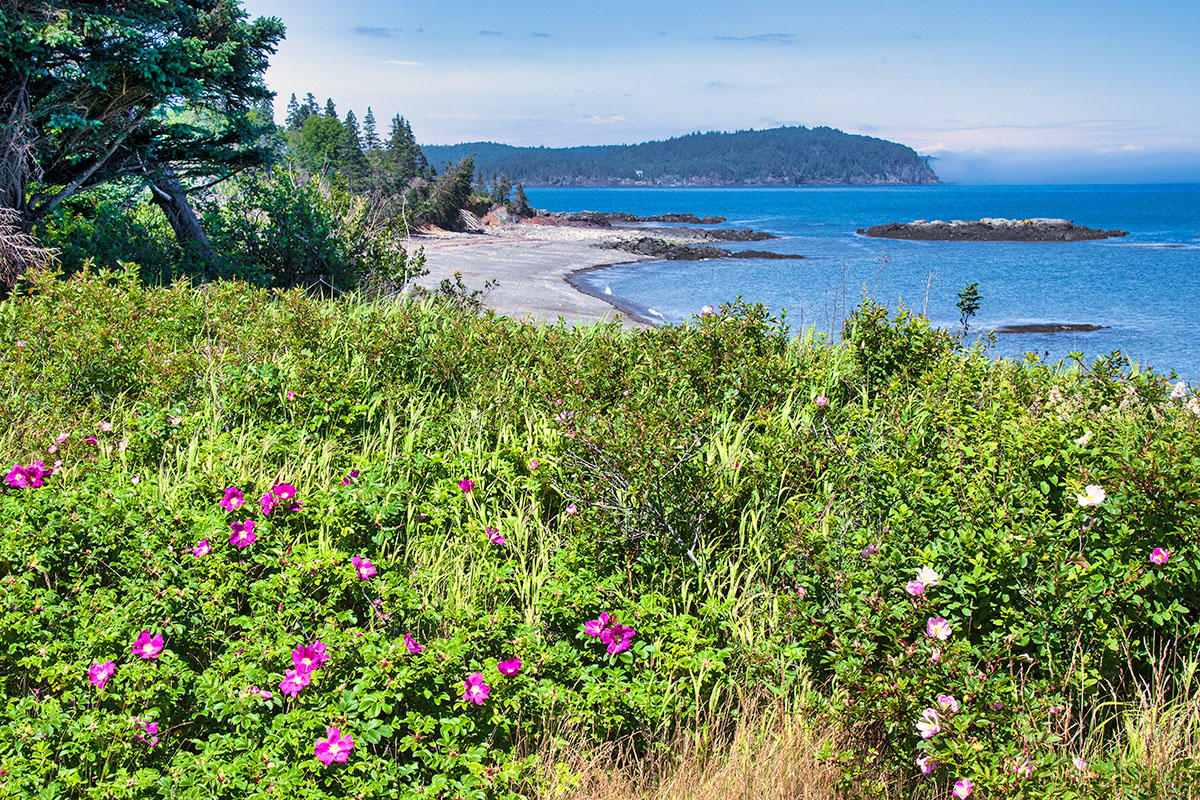 Raccoon Beach, Campobello Island, New Brunswick