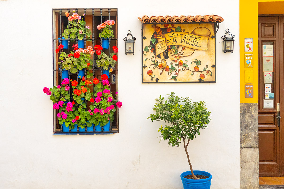 Floral display, Cordoba, Spain.