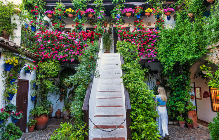 Floral patio, Cordoba, Spain.