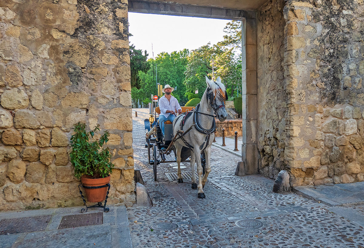 Horse-drawn carriage, Cordoba, Spain.