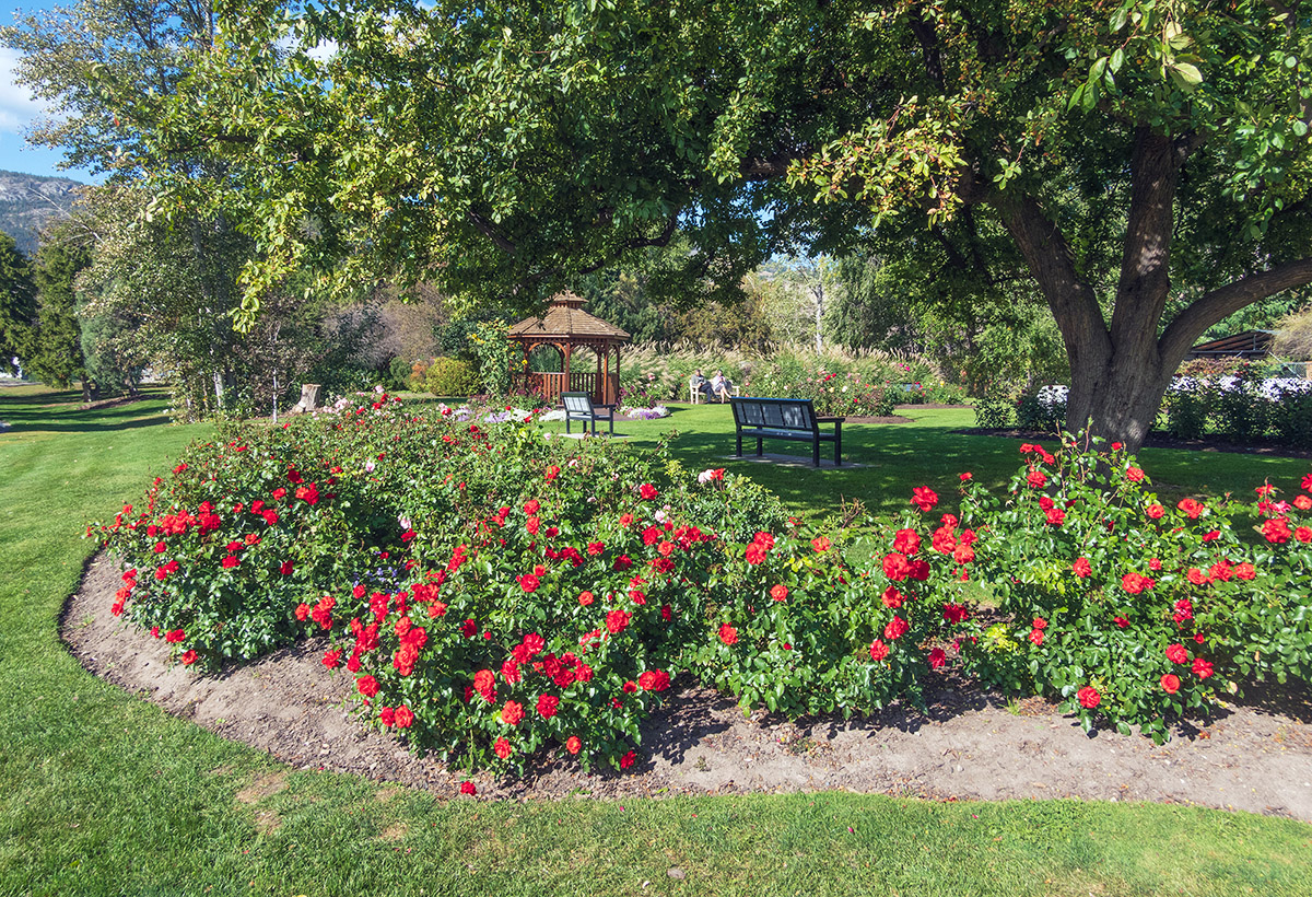 Penticton Rose Garden.
