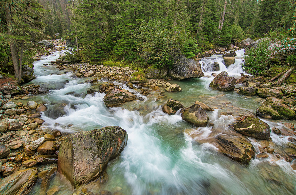Meeting of the Waters Trail, Glacier National Park, BC.