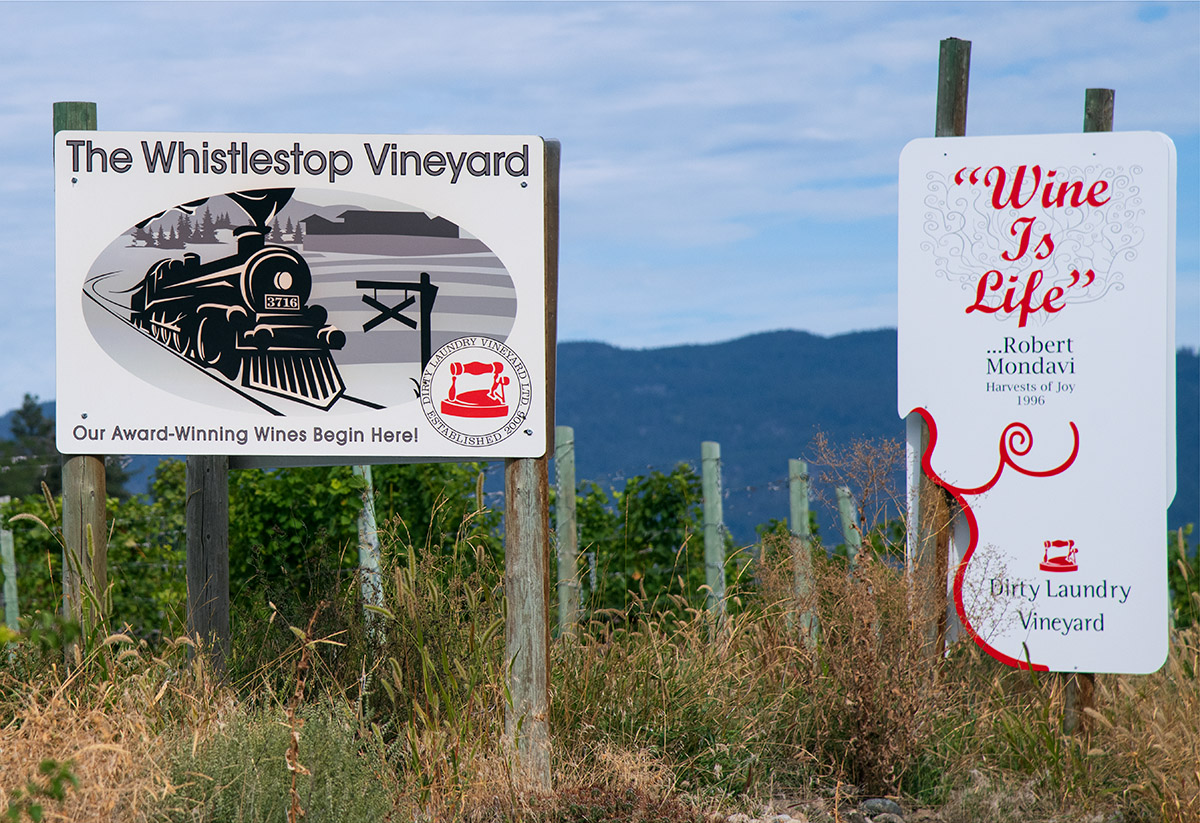 Vineyard along Kettle Valley Railway, BC