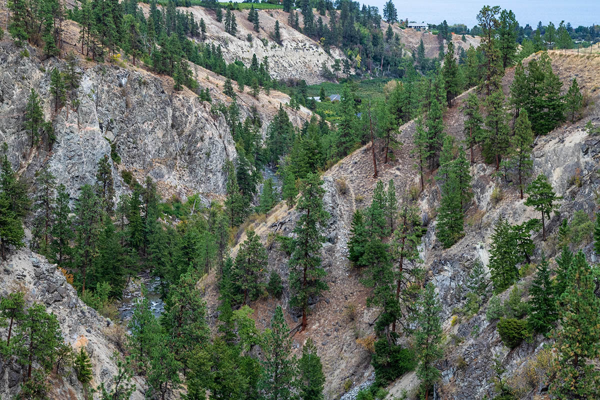 Canyon on Kettle Valley Railway, BC