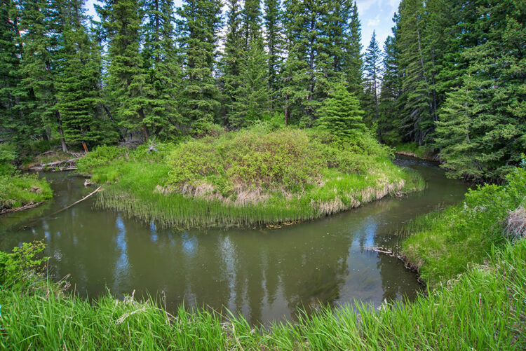 Battle Creek, Cypress Hills, SK