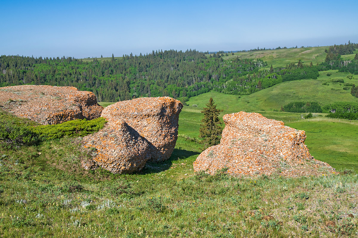 Conglomerate cliffs, Reesor Ranch, Cypress Hills, Saskatchewan
