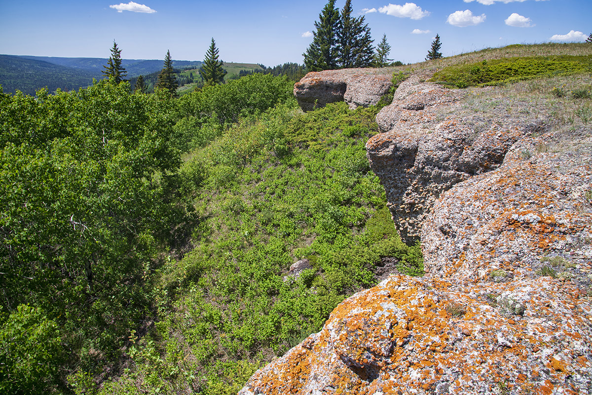 conglomerate cliffs, Reesor Ranch, Cypress Hills, Saskatchewan