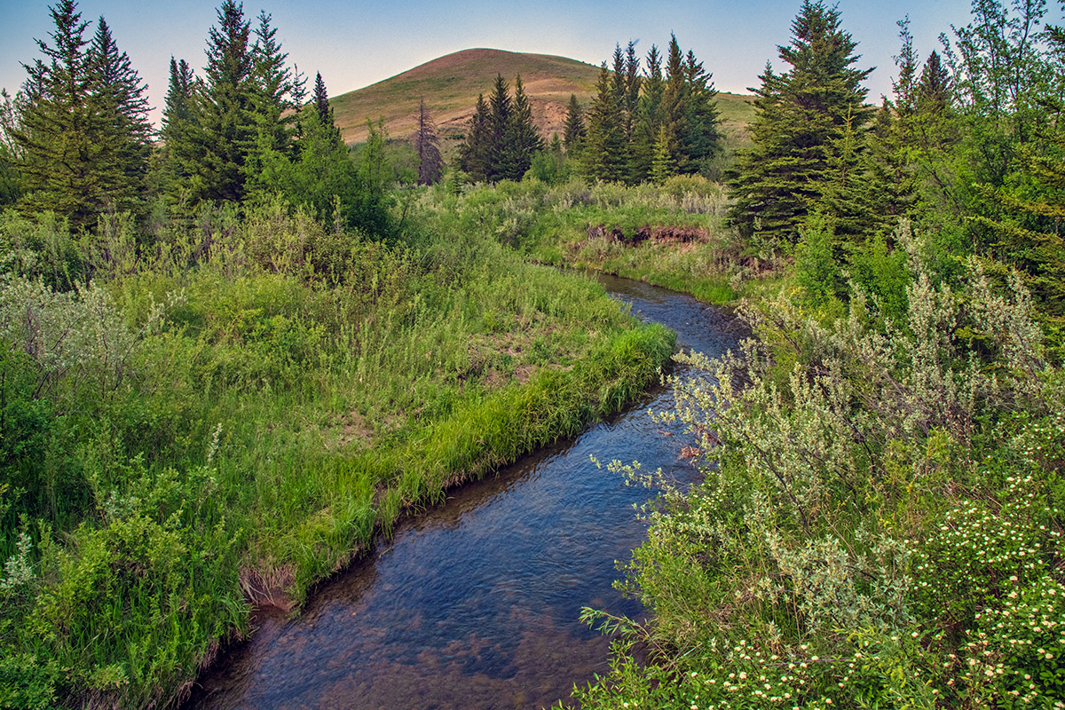 Battle Creek, Cypress Hills, SK