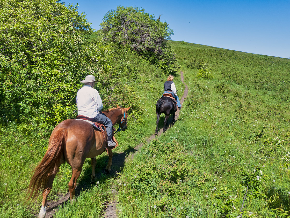 Horseback ride, Reesor Ranch, Cypress Hills, Saskatchewan