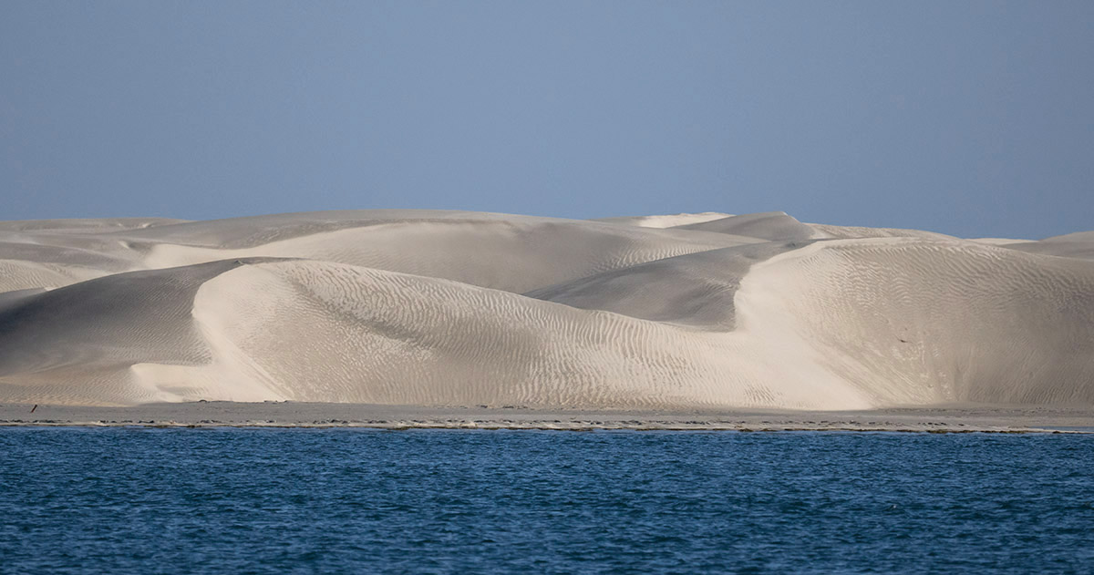 Dunes of Solitude, Mexico