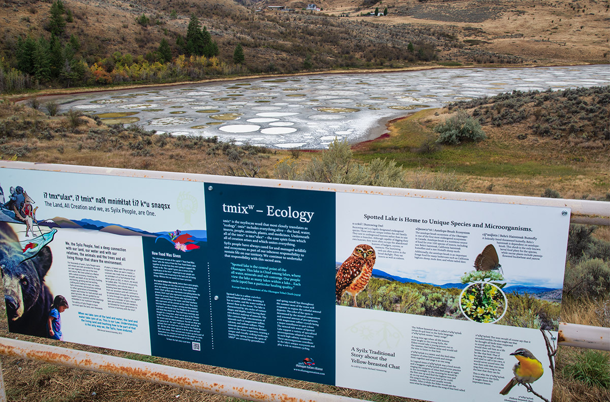 Spotted Lake, Osoyoos, BC