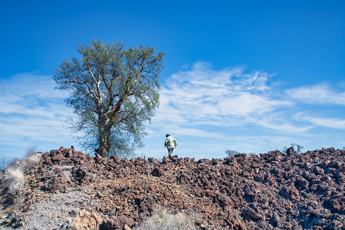 Lava field, Highway #1, Baja California Sur, Mexico