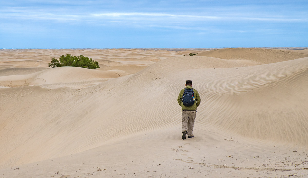 Las Dunas de la Soledad, Mexico.