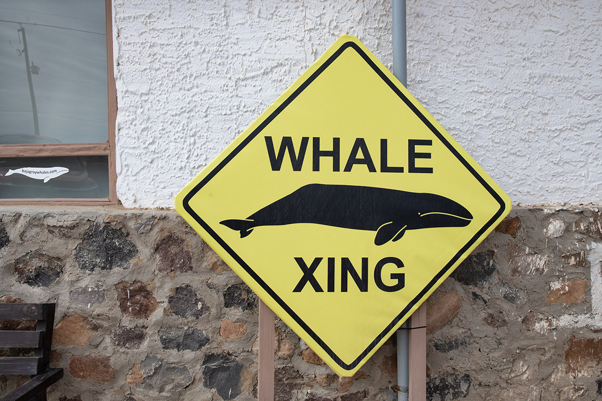 Guerrero Negro Whale Crossing sign, Baja California Sur, Mexico.