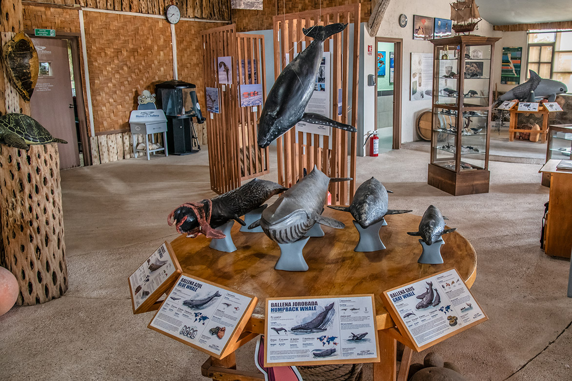 Whale Centre to learn about gray whales, Guerrero Negro, Baja California Sur, Mexico.